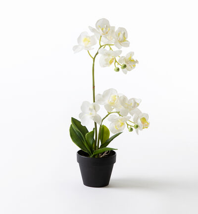 Kunstig hvit Orkide midi 